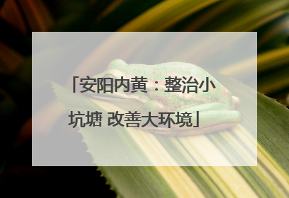 安阳内黄：整治小坑塘 改善大环境