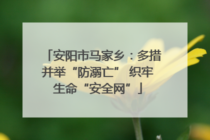 安阳市马家乡：多措并举“防溺亡” 织牢生命“安全网”