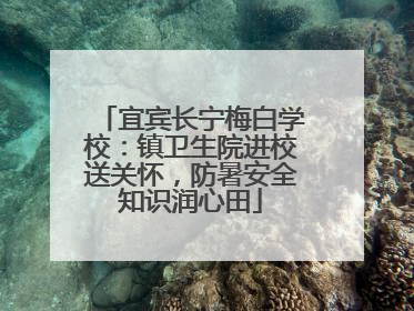 宜宾长宁梅白学校：镇卫生院进校送关怀，防暑安全知识润心田