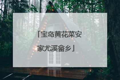 宝岛黄花菜安家尤溪畲乡