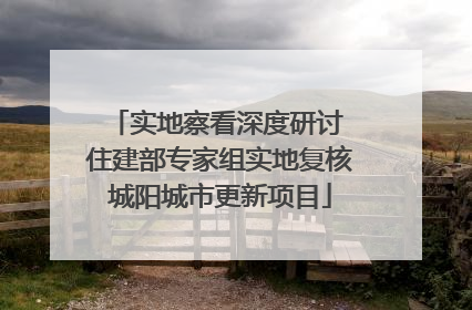 实地察看深度研讨 住建部专家组实地复核城阳城市更新项目