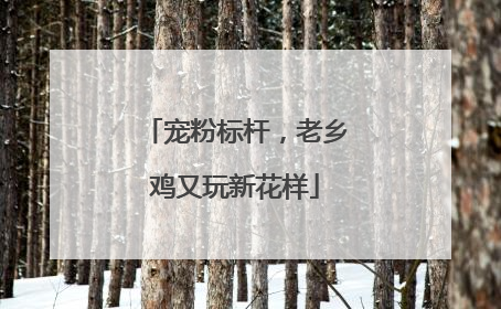 宠粉标杆，老乡鸡又玩新花样