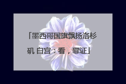 墨西哥国旗飘扬洛杉矶 白宫：看，罪证