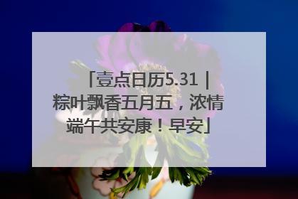 壹点日历5.31｜粽叶飘香五月五，浓情端午共安康！早安