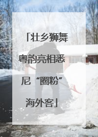 壮乡狮舞粤韵亮相悉尼“圈粉”海外客