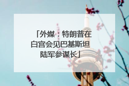 外媒：特朗普在白宫会见巴基斯坦陆军参谋长