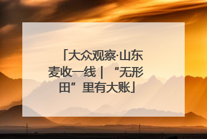 大众观察·山东麦收一线｜“无形田”里有大账