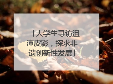 大学生寻访沮漳皮影，探求非遗创新性发展