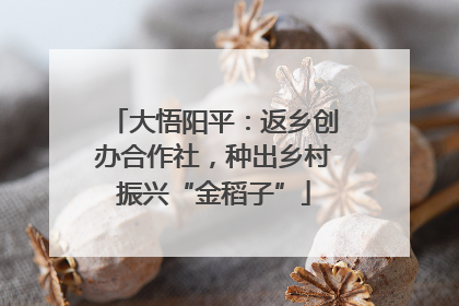 大悟阳平：返乡创办合作社，种出乡村振兴“金稻子”