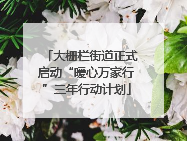 大栅栏街道正式启动“暖心万家行”三年行动计划