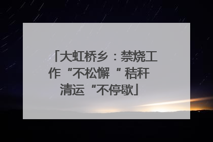 大虹桥乡：禁烧工作“不松懈“ 秸秆清运“不停歇
