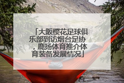 大阪樱花足球俱乐部到访烟台足协，鹿扬体育推介体育装备发展情况