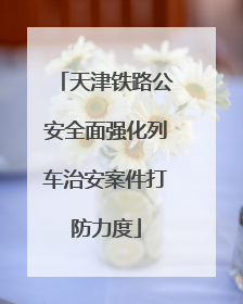 天津铁路公安全面强化列车治安案件打防力度