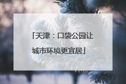 天津：口袋公园让城市环境更宜居