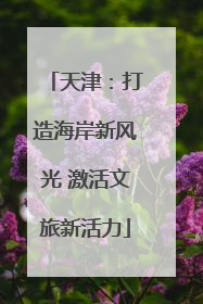 天津：打造海岸新风光 激活文旅新活力