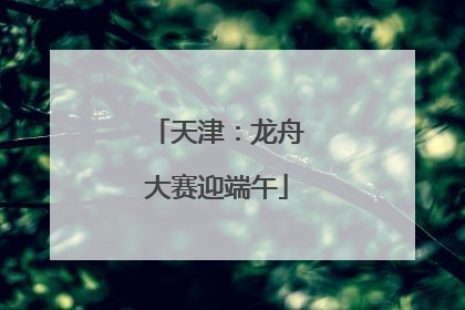 天津：龙舟大赛迎端午