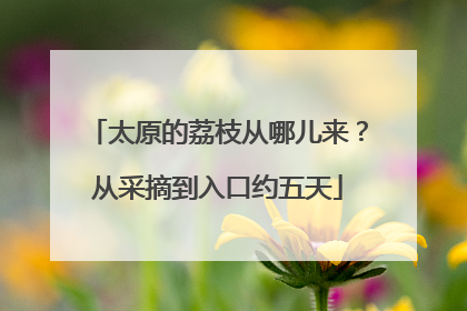 太原的荔枝从哪儿来？从采摘到入口约五天