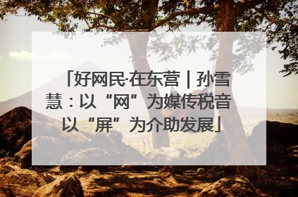 好网民·在东营｜孙雪慧：以“网”为媒传税音 以“屏”为介助发展
