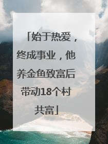 始于热爱，终成事业，他养金鱼致富后带动18个村共富