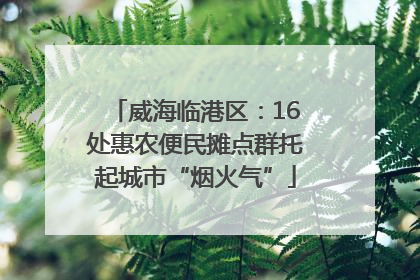 威海临港区：16处惠农便民摊点群托起城市“烟火气”