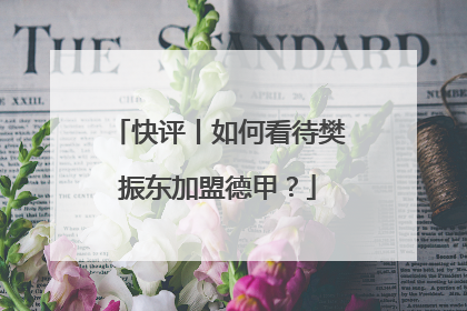 快评丨如何看待樊振东加盟德甲？