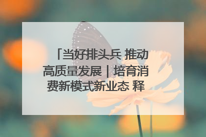 当好排头兵 推动高质量发展｜培育消费新模式新业态 释放经济增长新动能