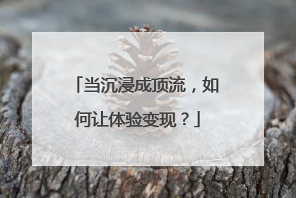 当沉浸成顶流，如何让体验变现？