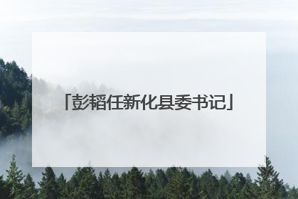 彭韬任新化县委书记