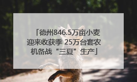 德州846.5万亩小麦迎来收获季 25万台套农机备战“三夏”生产