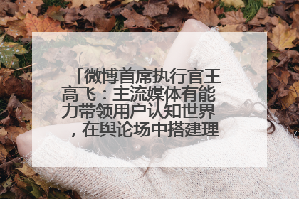 微博首席执行官王高飞：主流媒体有能力带领用户认知世界，在舆论场中搭建理性的讨论空间