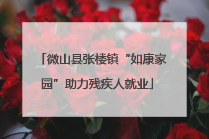 微山县张楼镇“如康家园”助力残疾人就业