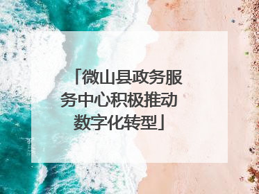 微山县政务服务中心积极推动数字化转型