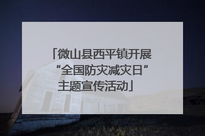 微山县西平镇开展“全国防灾减灾日”主题宣传活动