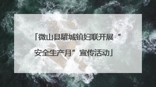 微山县驩城镇妇联开展“安全生产月”宣传活动