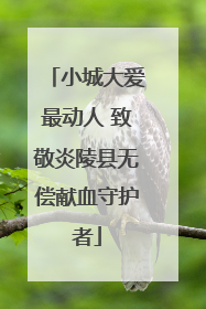 小城大爱最动人 致敬炎陵县无偿献血守护者