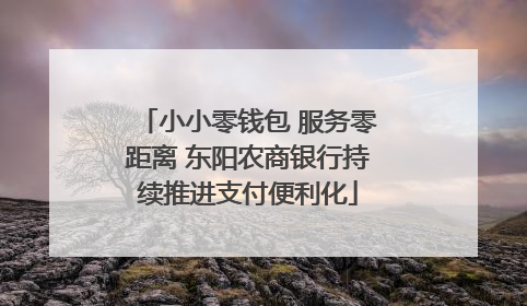 小小零钱包 服务零距离 东阳农商银行持续推进支付便利化