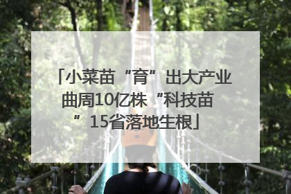 小菜苗“育”出大产业 曲周10亿株“科技苗”15省落地生根
