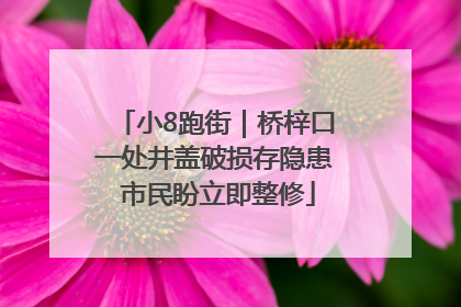 小8跑街｜桥梓口一处井盖破损存隐患 市民盼立即整修