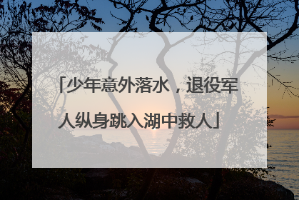 少年意外落水，退役军人纵身跳入湖中救人