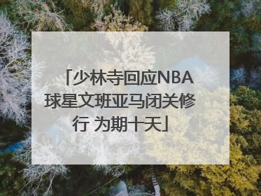 少林寺回应NBA球星文班亚马闭关修行 为期十天