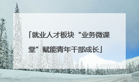 就业人才板块“业务微课堂”赋能青年干部成长