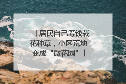 居民自己筹钱栽花种草，小区荒地变成“微花园”