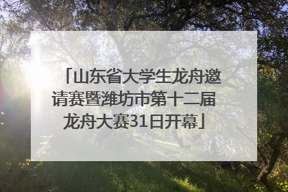 山东省大学生龙舟邀请赛暨潍坊市第十二届龙舟大赛31日开幕