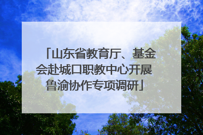 山东省教育厅、基金会赴城口职教中心开展鲁渝协作专项调研