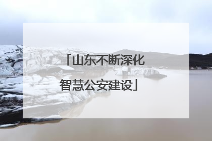山东不断深化智慧公安建设
