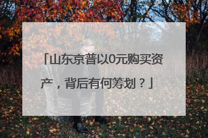 山东京普以0元购买资产，背后有何筹划？