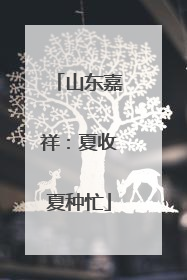 山东嘉祥：夏收夏种忙