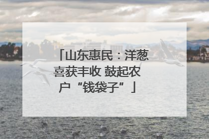 山东惠民：洋葱喜获丰收 鼓起农户“钱袋子”