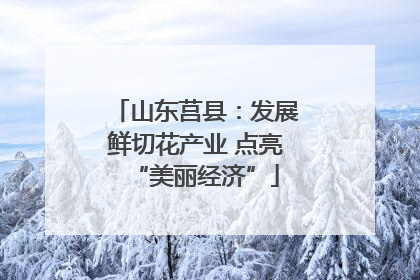 山东莒县：发展鲜切花产业 点亮“美丽经济”
