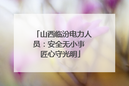 山西临汾电力人员：安全无小事 匠心守光明